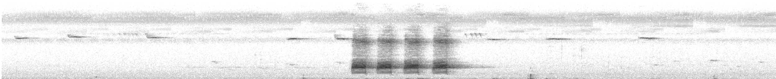 White-bellied Treepie - ML643932894