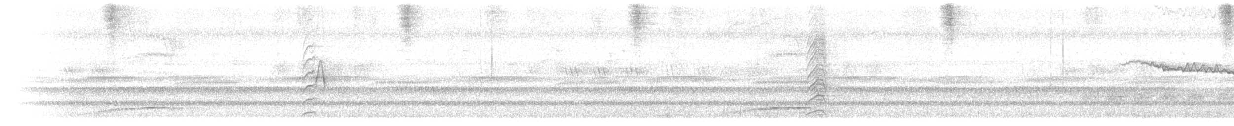 Сплюшка нікобарська - ML643934471