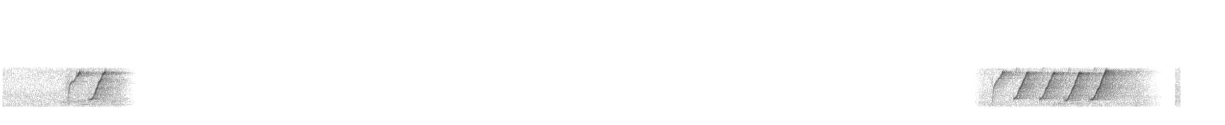 Tchitrec azuré - ML643934993