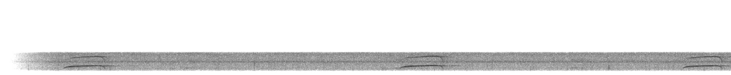 Сплюшка нікобарська - ML643935086