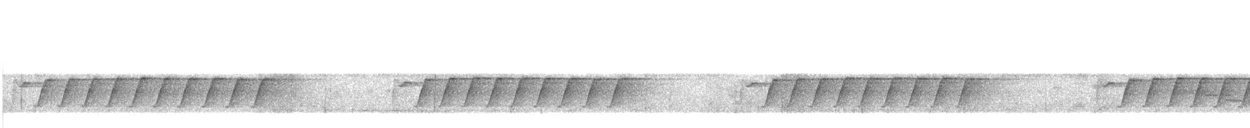 Tchitrec azuré - ML643935161