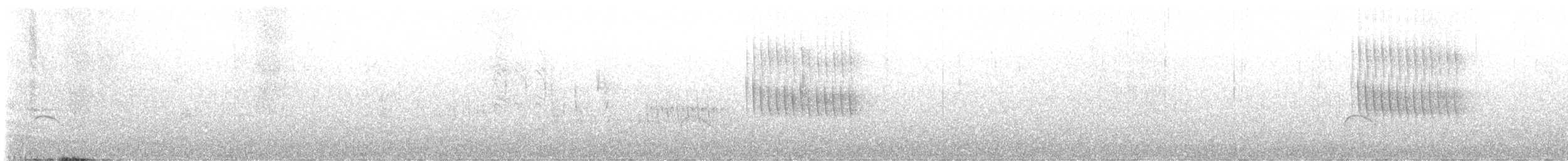 Thorn-tailed Rayadito - ML643935244
