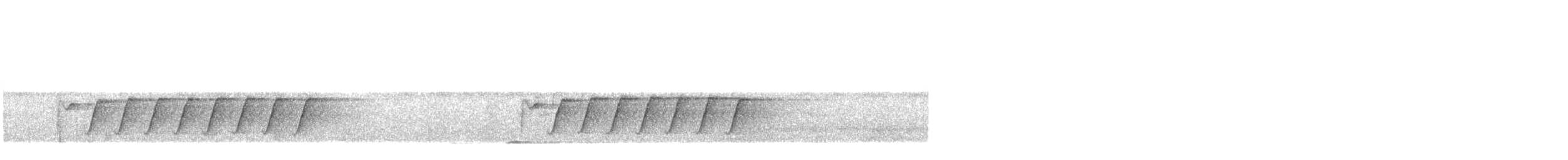 Tchitrec azuré - ML643935341