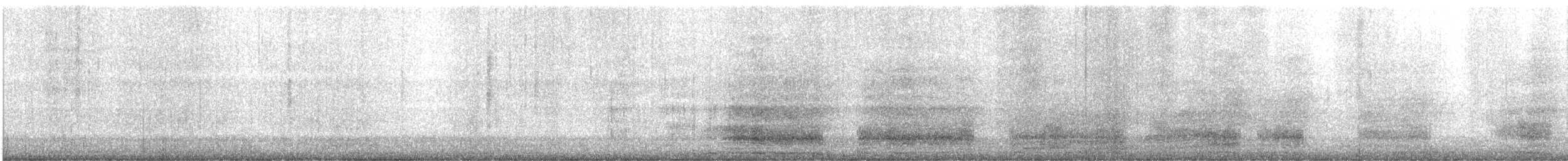 Koartza hauskara amerikarra - ML643936382