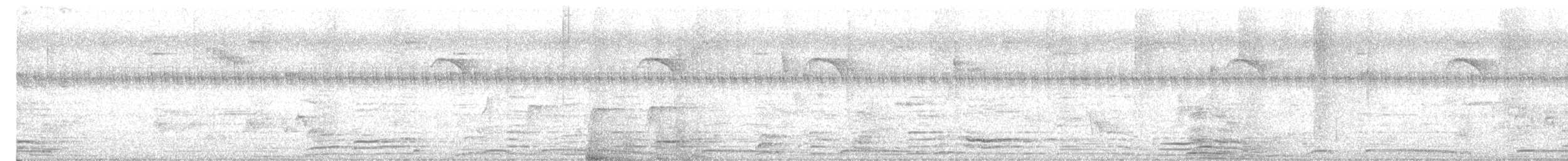 hrdlička kropenatá - ML643936674