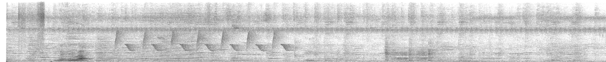 Common Tailorbird - ML643936712