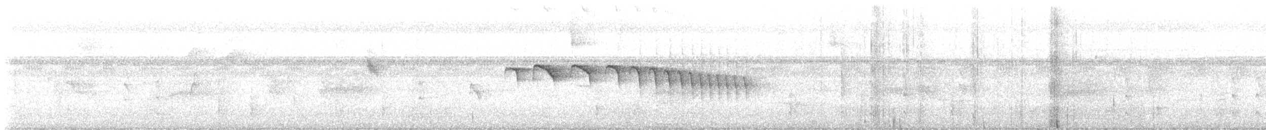 Dot-winged Antwren - ML643937057