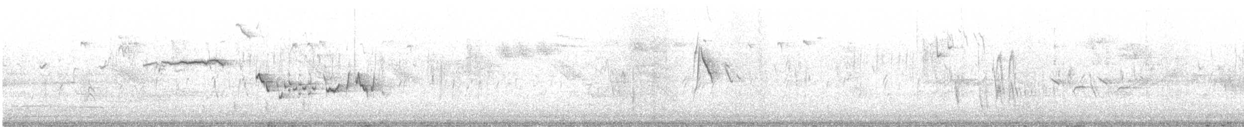 Western Yellow Wagtail - ML643937088