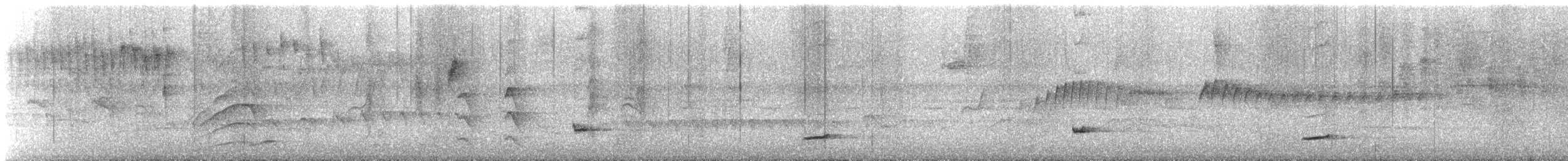 Black-striped Sparrow - ML643940421