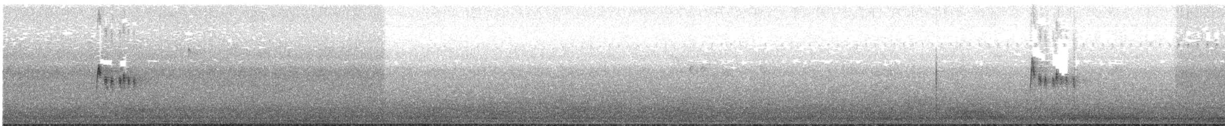 Tropical Kingbird - ML643941191