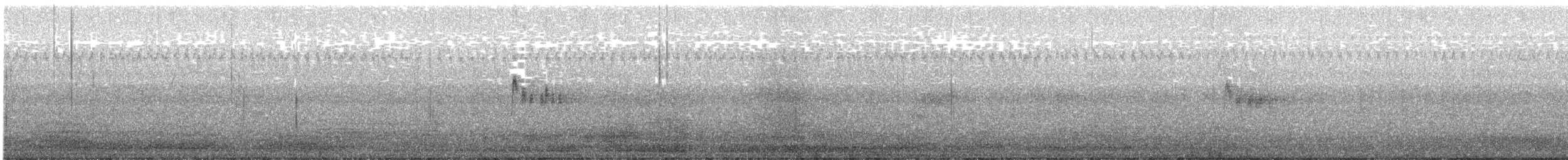 Tropical Kingbird - ML643941192