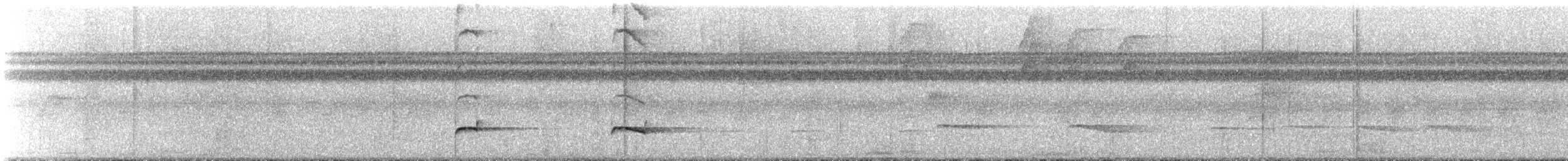 Chestnut-backed Antbird - ML643941764