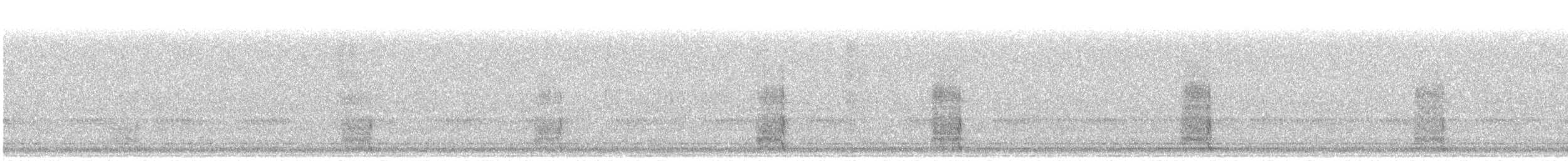 Wilsonbekassine - ML643943054