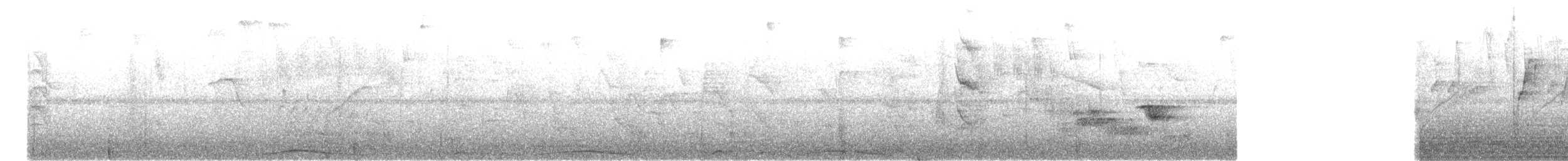 Pale-vented Pigeon - ML643943534