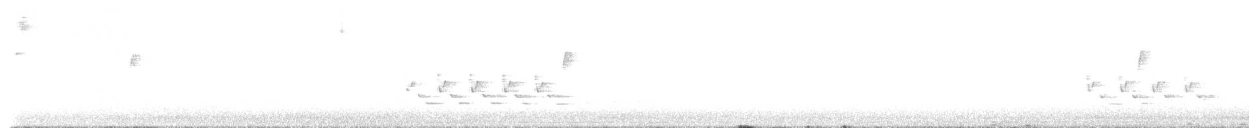 Carolina Wren - ML643944784