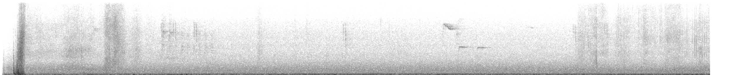 Scricciolo [gruppo troglodytes] - ML643946307