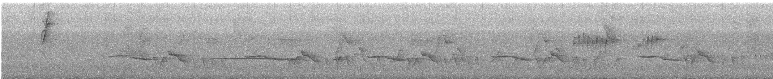 クリムネマユミソサザイ - ML643947106