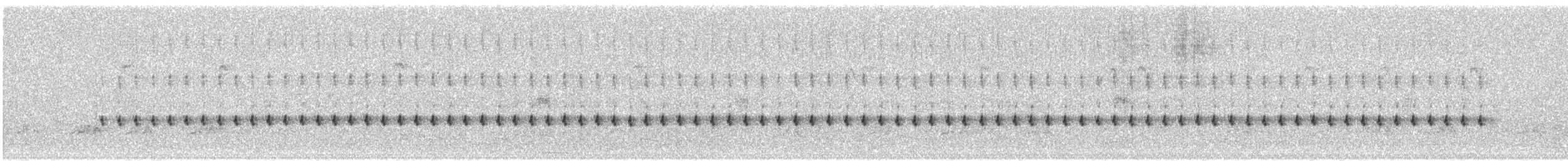 Cricket Longtail - ML643947290