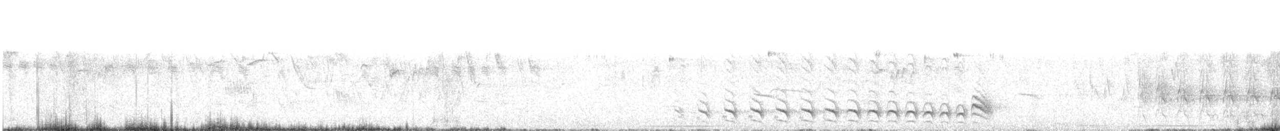 Barred Antshrike - ML643947353