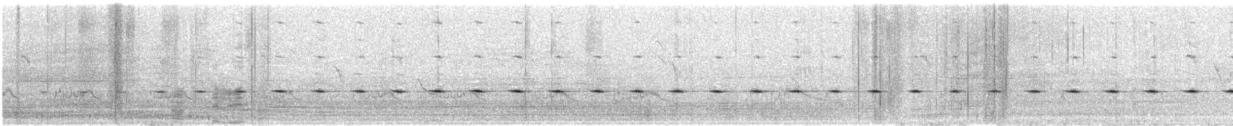 Cricket Longtail - ML643947468