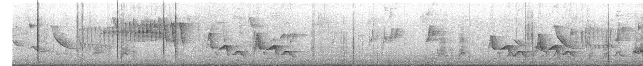 クリムネマユミソサザイ - ML643947809