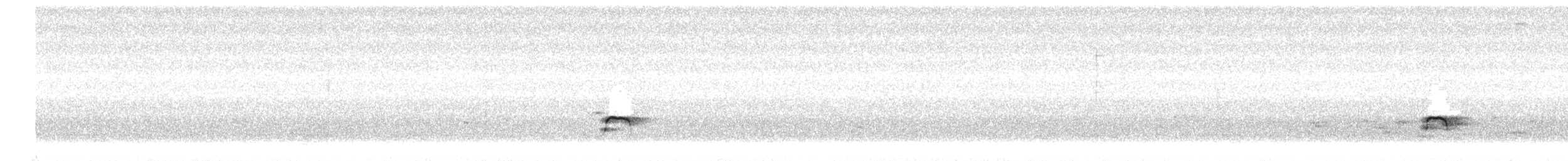 ミヤコドリ - ML643948166