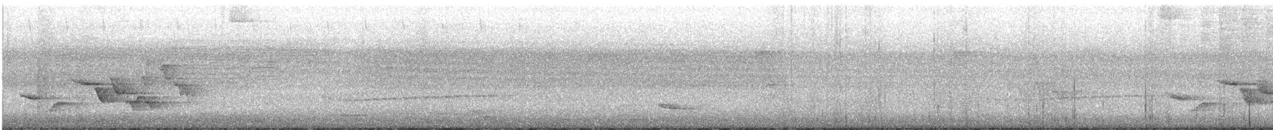 クリムネマユミソサザイ - ML643948924