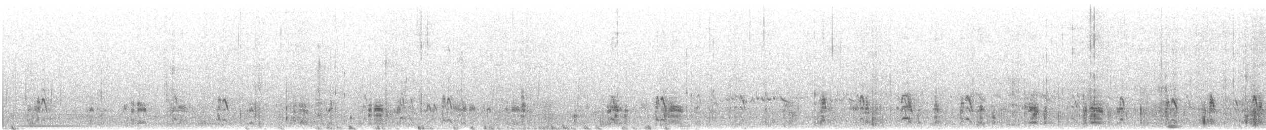 Ganga à ventre brun (groupe exustus) - ML643949306