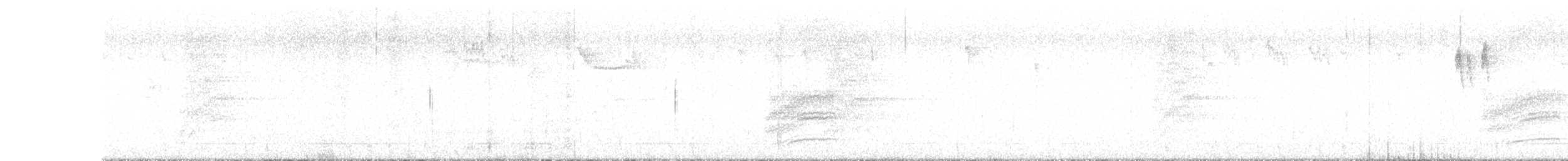 Пятнистый тохи - ML643949637