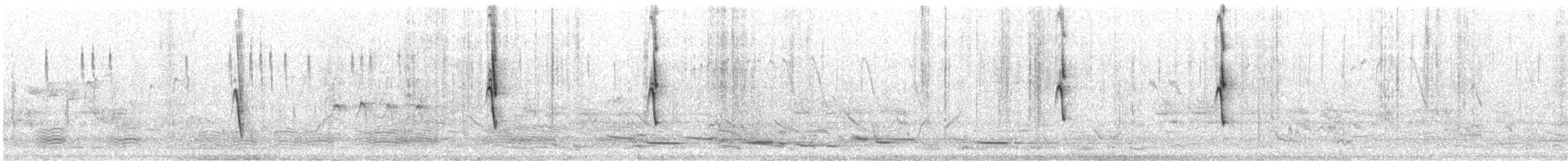 White-plumed Honeyeater - ML643950348