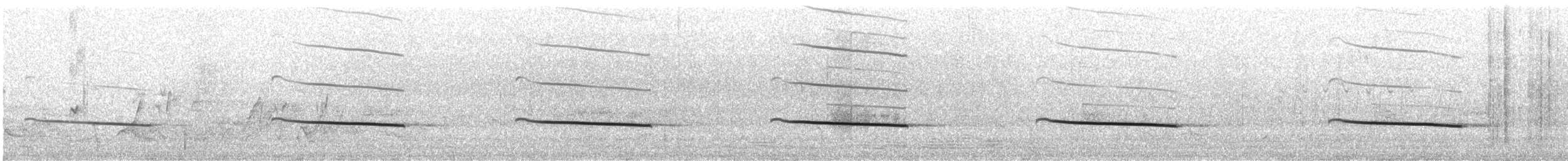 Black-eared Cuckoo - ML643950533