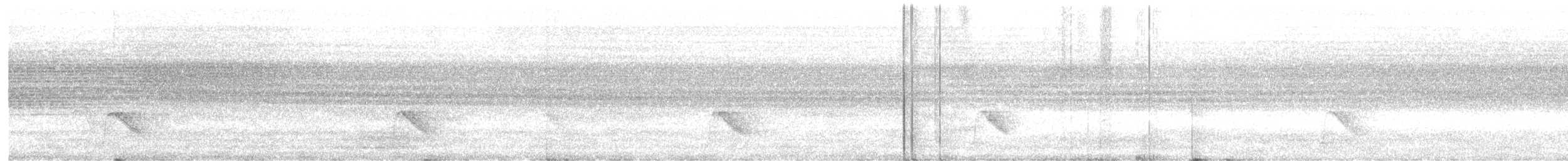 Gray-cheeked Thrush - ML643951518