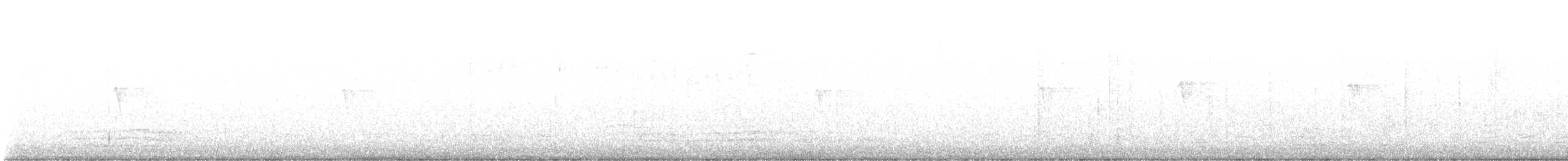 Black Phoebe - ML643951561