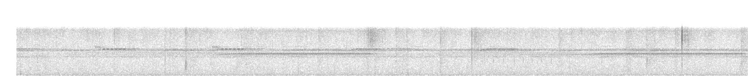 Scallop-breasted Antpitta - ML643951581