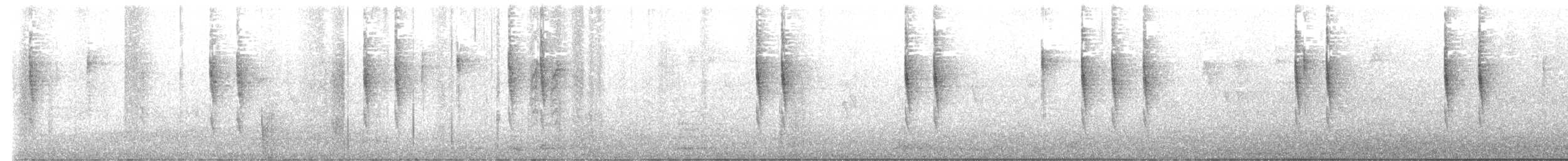 Troglodyte de Baird - ML643952256