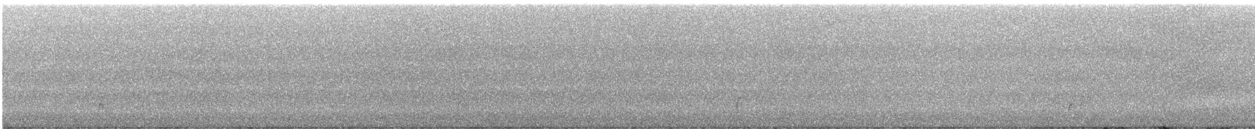 Дрозд Свэнсона - ML643953222