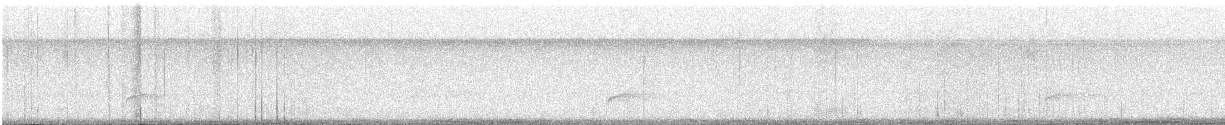 Swainson's Thrush - ML643953428