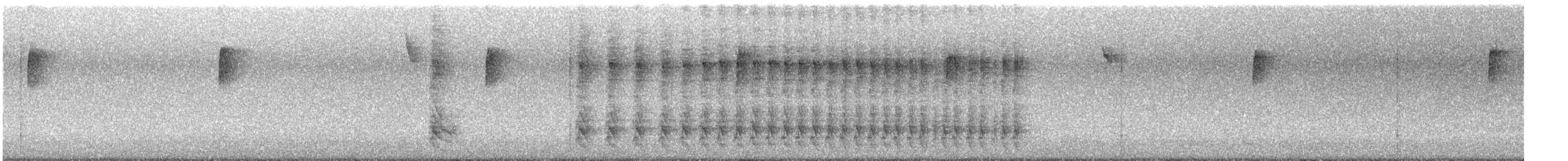 Red-bellied Woodpecker - ML643953442