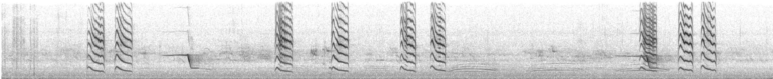 White-plumed Honeyeater - ML643953461