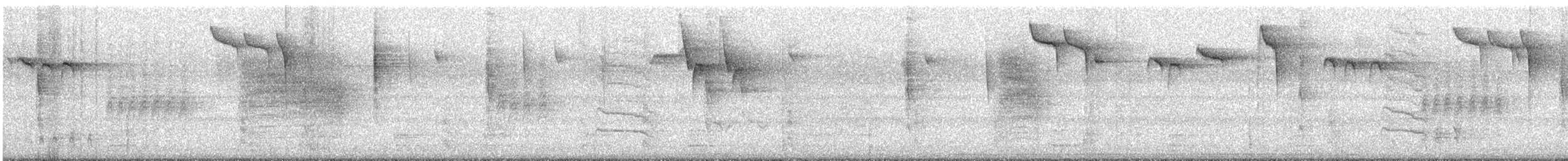 Wood Thrush - ML643953913