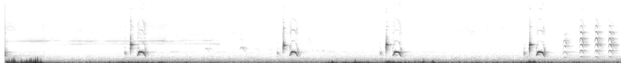 Troglodyte à long bec - ML643954635