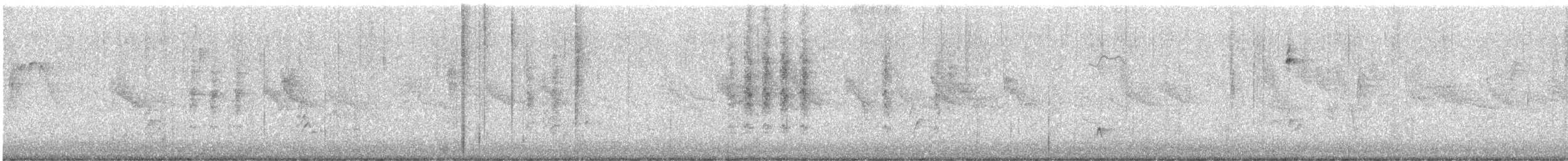 Tyran à gorge cendrée - ML643954833