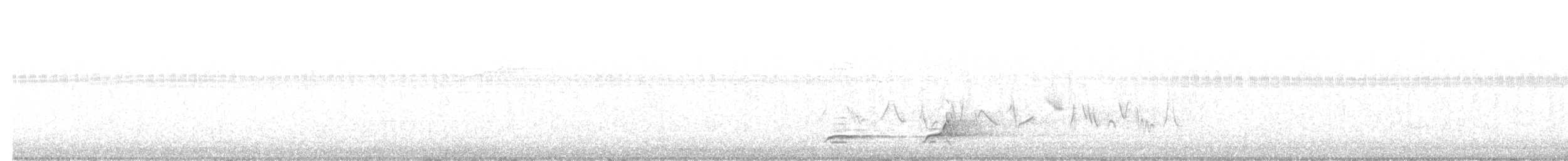 Northern Bobwhite - ML643956688