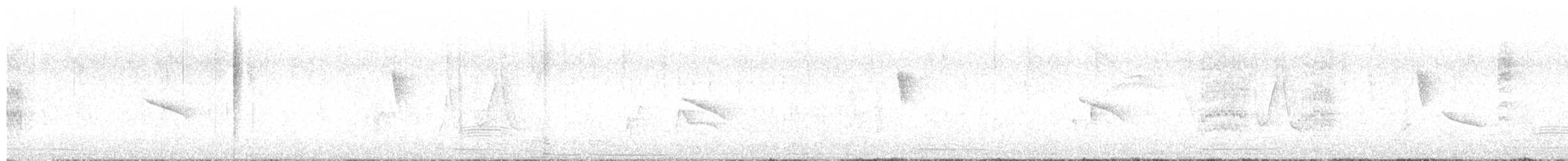 Brushland Tinamou - ML643956720