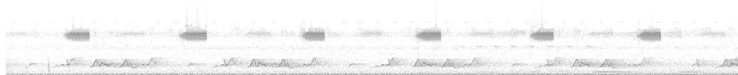 lelek karolinský - ML643957533
