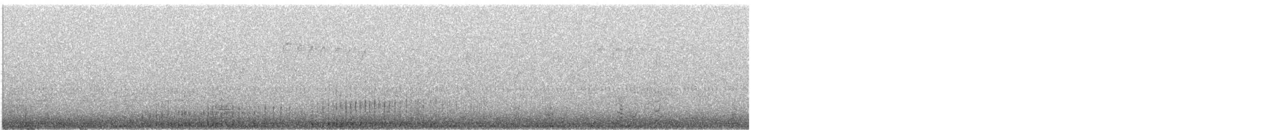 Mute Swan - ML643957991