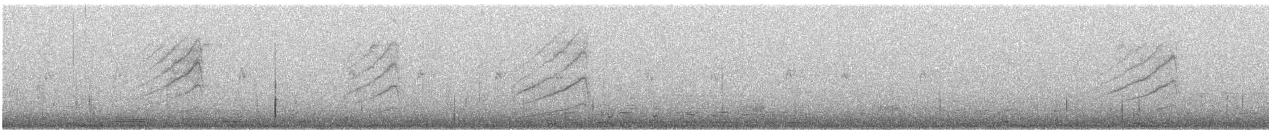 Wood Duck - ML643957998