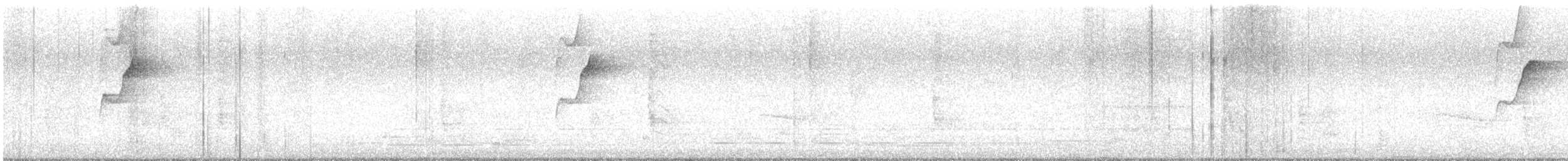 Western Flycatcher (Pacific-slope) - ML643958010