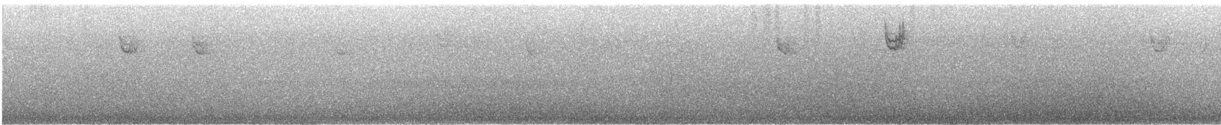 White-throated Sparrow - ML643958292