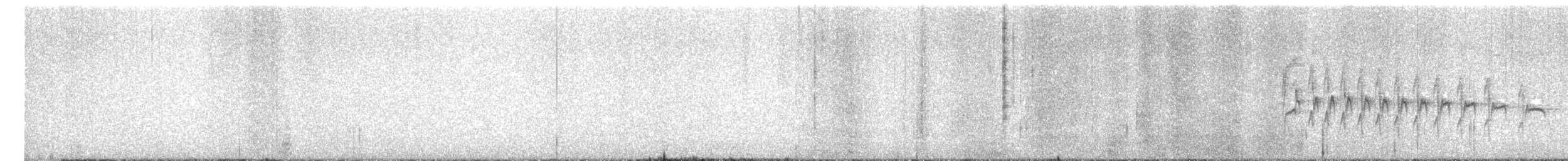 Southern Beardless-Tyrannulet - ML643958339